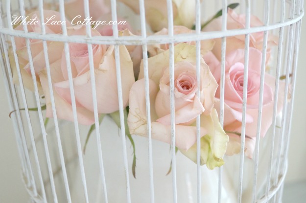 048pinkrosesbirdcage1