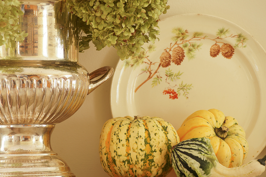 Adding Fall Decorations To Your Home