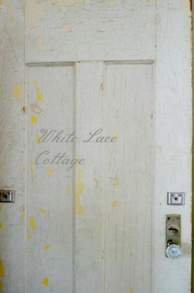 chippy vintage door