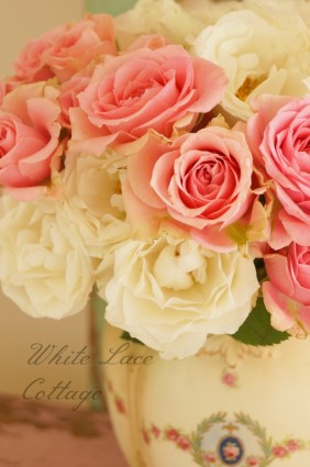 pink roses shabby