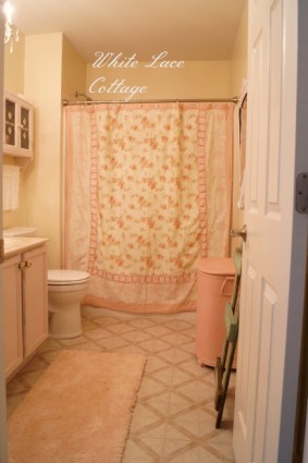 shabby bathroom2