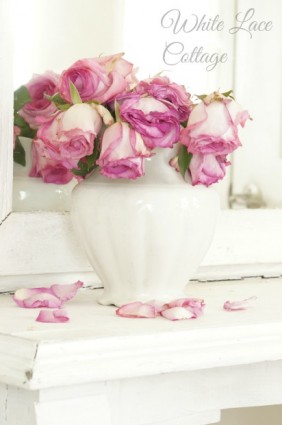 pink rose shabby romantic