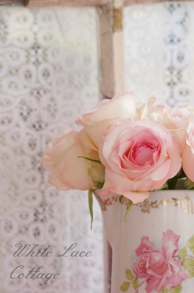 pinkroses