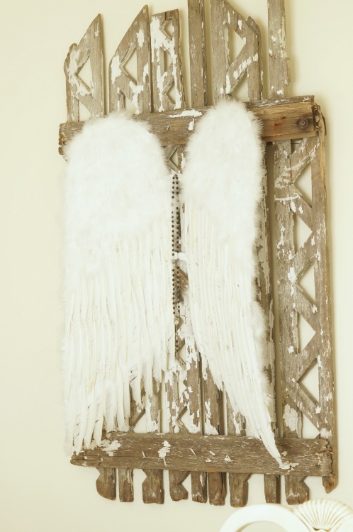 angel wings