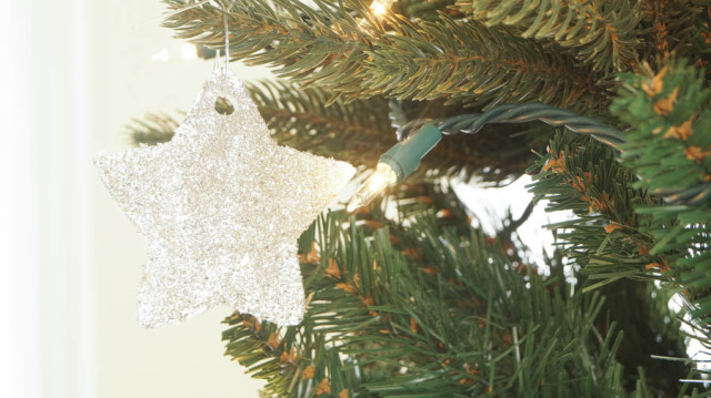 German Glass Glitter Ornaments (2 of 10)