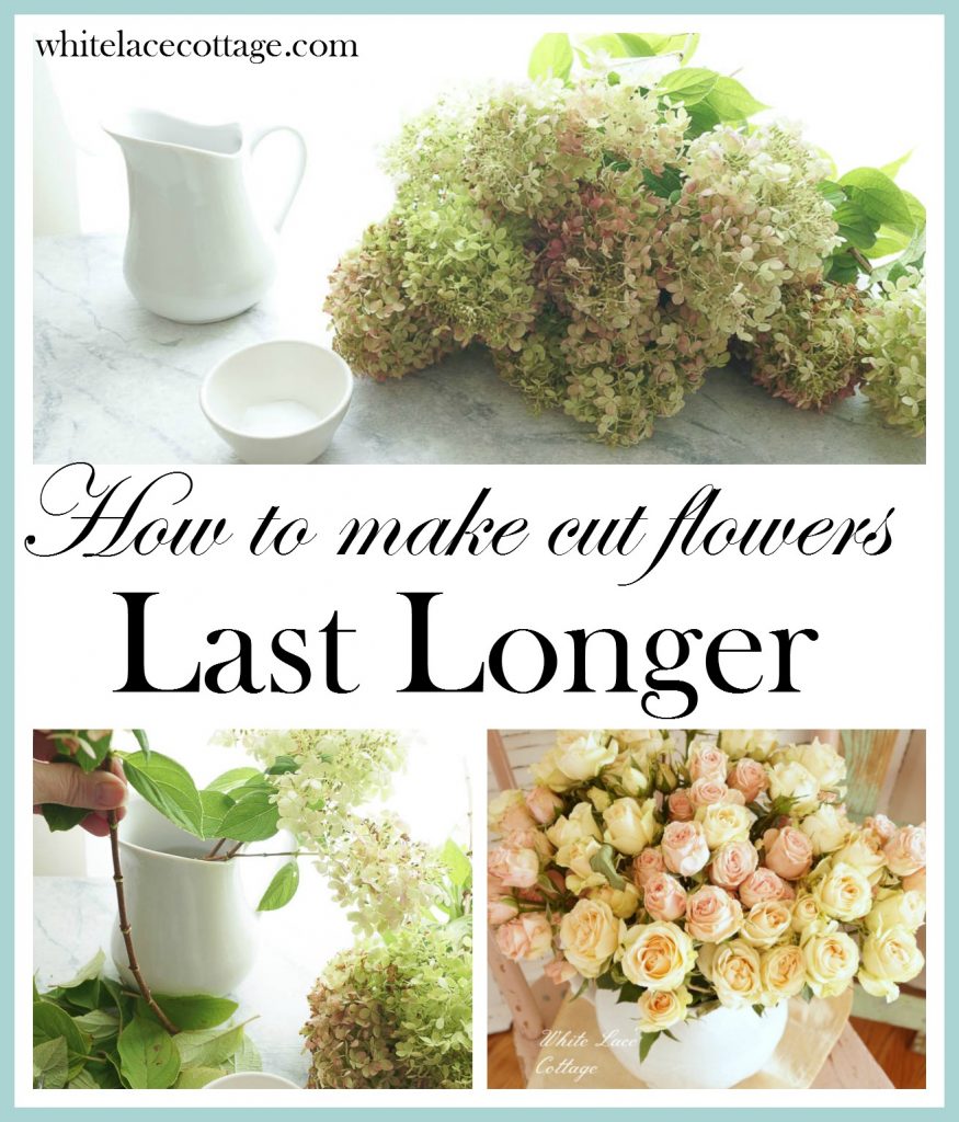 how-to-make-cut-flowers-last-longer