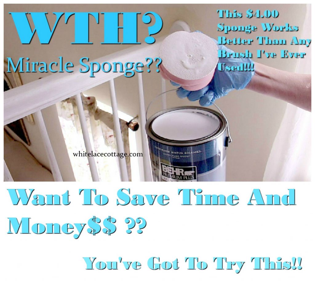 Save Money With This Painting Sponge